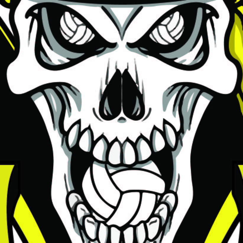 Arizona Volleyball Addicts — Logo